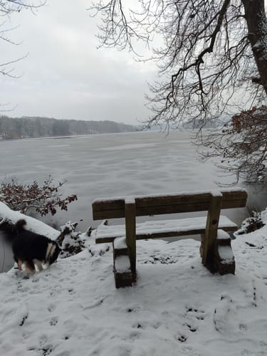 Rund um den Drüsensee