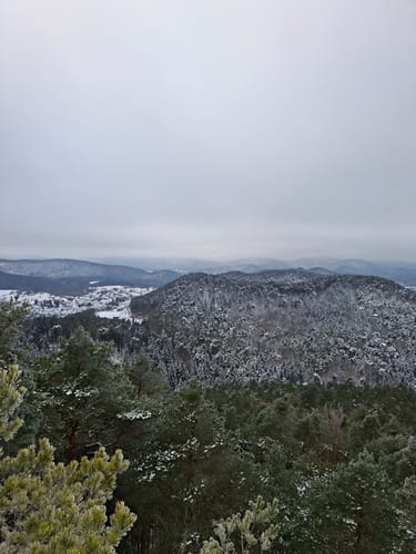 Rotsandsteinweg (lange Tour)