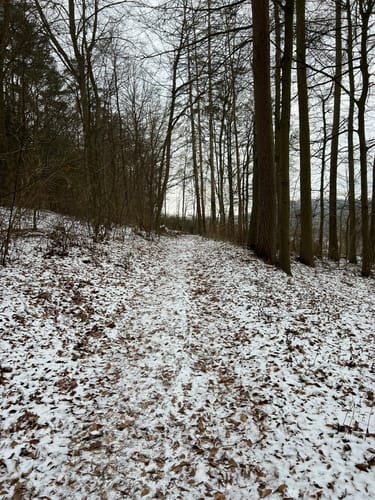 Von Bad Salzschlirf zur Burg Wartenberg