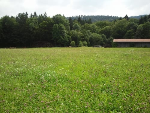 Rondje Ferienpark Roompot In Eisenartzt