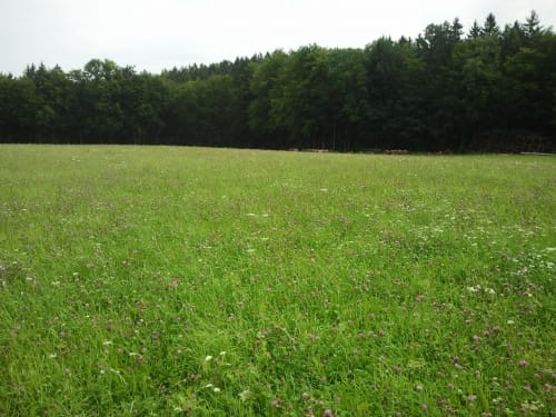 Rondje Ferienpark Roompot In Eisenartzt