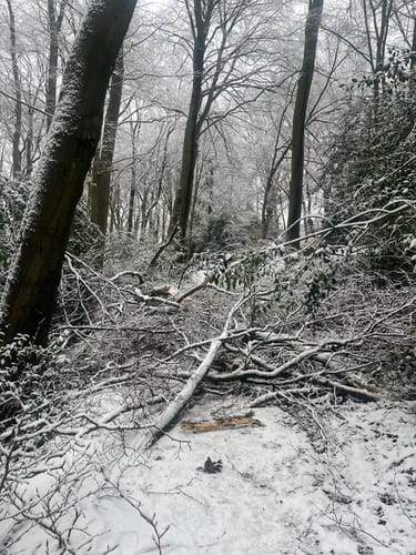 Haan Rundwanderweg A1
