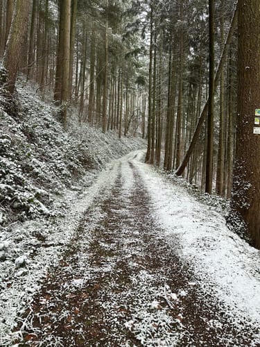 Eifelsteig Etappe 14: Bruch - Kordel