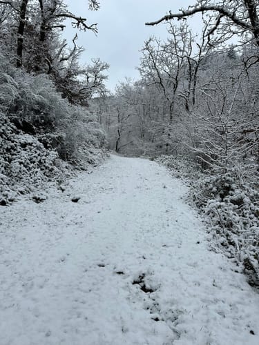 Eifelsteig Etappe 14: Bruch - Kordel