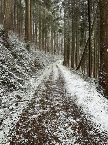Eifelsteig Etappe 14: Bruch - Kordel