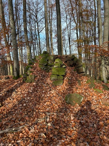 Zum Schwallhübel