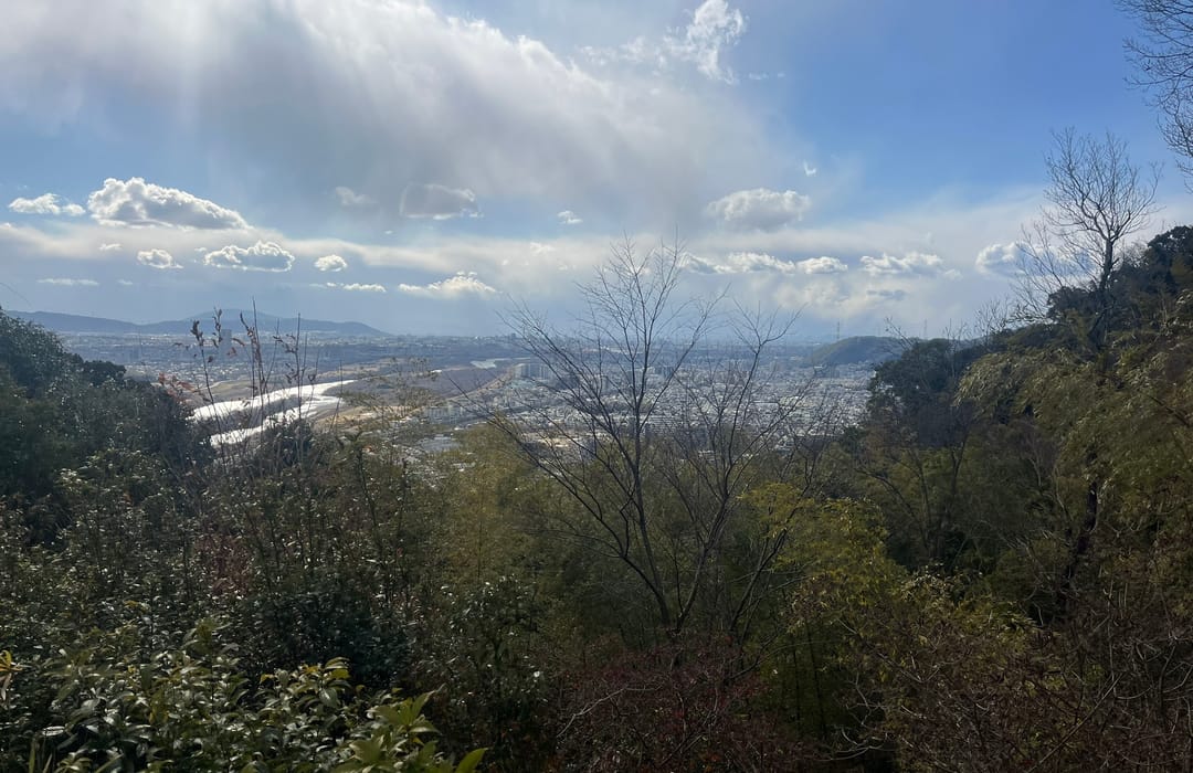 Mt. Tenno - hikes and trails to get you there | AllTrails