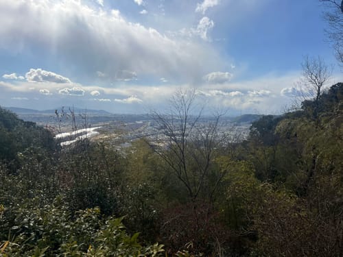拓の山 拓の山