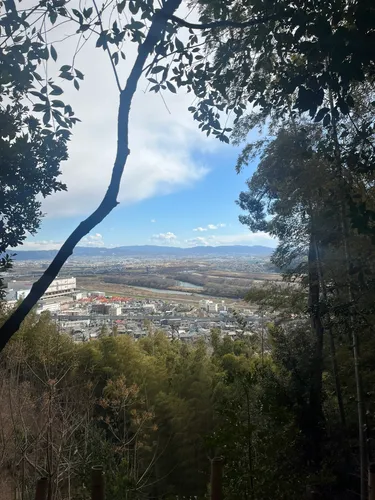 Mt. Tenno - hikes and trails to get you there | AllTrails