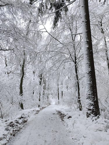 Rundwanderweg Schafpferch 3: Ursenbach