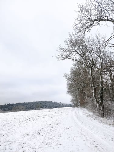 Rundwanderweg Schafpferch 3: Ursenbach