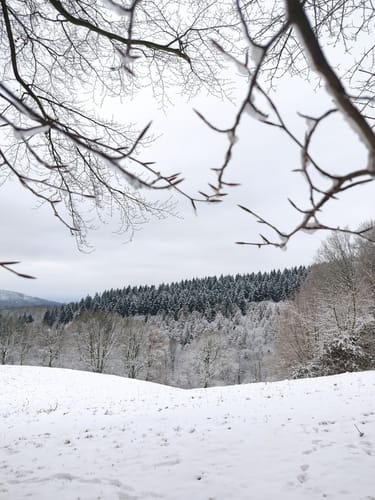 Rundwanderweg Schafpferch 3: Ursenbach