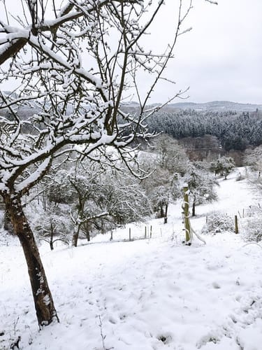 Rundwanderweg Schafpferch 3: Ursenbach