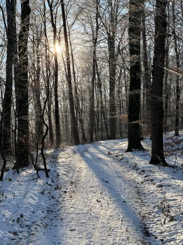 Um den Kleinen und Großen Schierensee