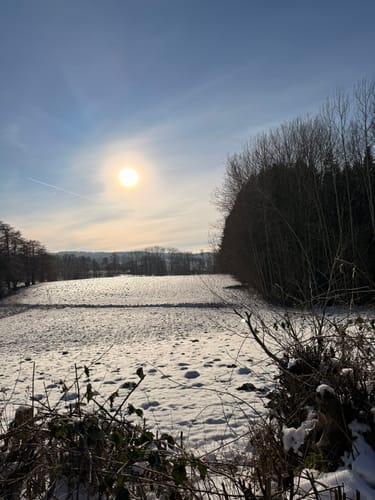 Um den Kleinen und Großen Schierensee