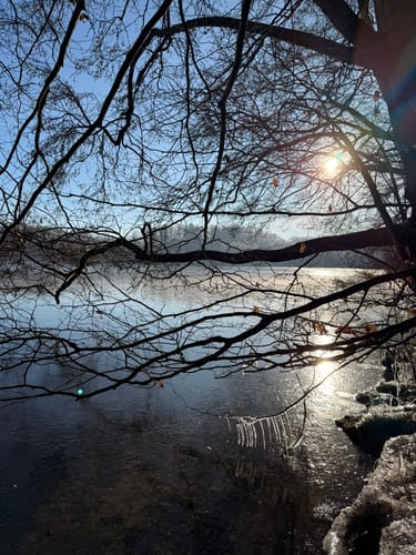 Um den Kleinen und Großen Schierensee