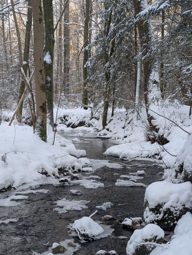 Velmerstot Rundwanderung