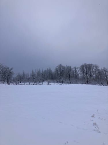 Winterwanderweg Wolfgarten
