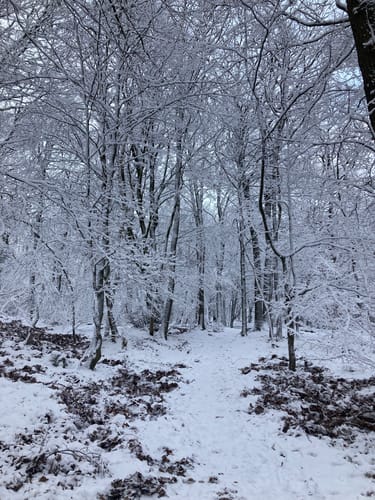 Winterwanderweg Wolfgarten