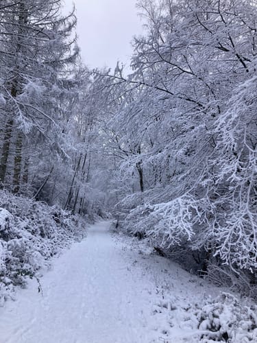 Winterwanderweg Wolfgarten