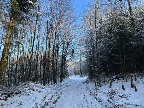 Sauerland-Höhenflug Etappe 1: Altena - Neuenrade