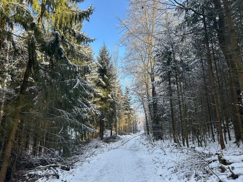 Sauerland-Höhenflug Etappe 1: Altena - Neuenrade