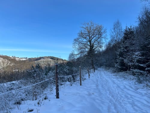 Sauerland-Höhenflug Etappe 1: Altena - Neuenrade