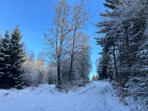 Sauerland-Höhenflug Etappe 1: Altena - Neuenrade