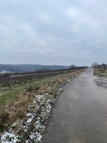 Rund um den Michaelsberg