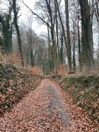 Rund um den Michaelsberg