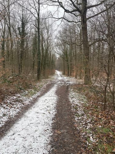 Rund um den Michaelsberg