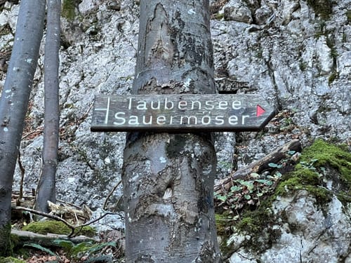 Von Hinterwössen zum Taubensee
