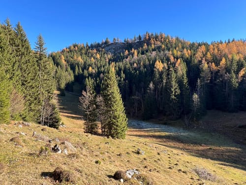 Von Hinterwössen zum Taubensee