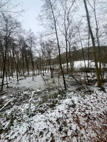 Rotthäuser Bachtal vom Naturfreunde Haus