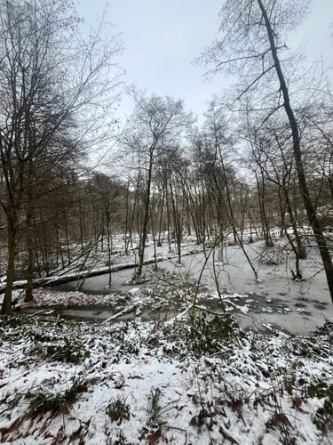 Rotthäuser Bachtal vom Naturfreunde Haus