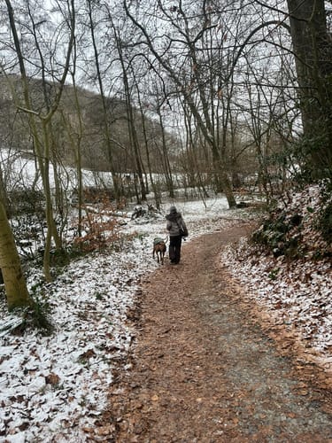 Rotthäuser Bachtal vom Naturfreunde Haus