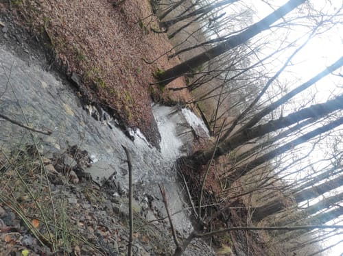 Rundwanderweg A1: Im Arnsberger Wald bei Neheim