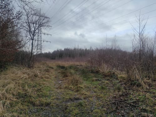 Rundwanderweg A1: Im Arnsberger Wald bei Neheim