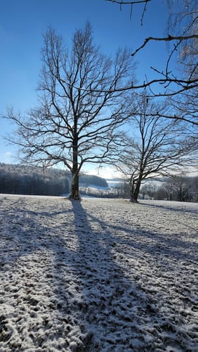 Rundwanderweg Kimbach