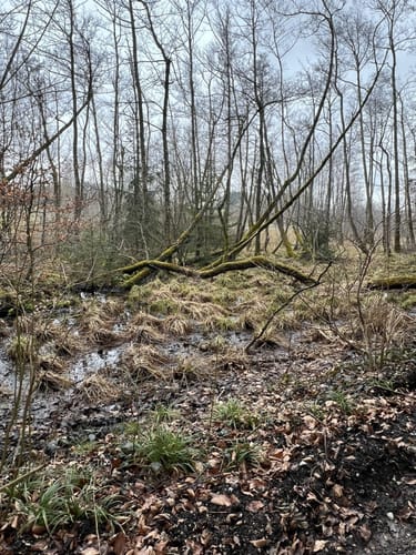 Rund um den Hartsee