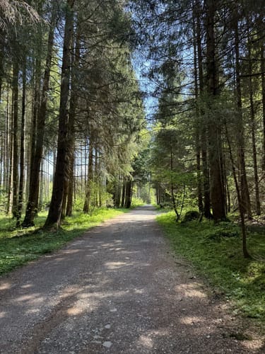 Simssee Nordic Walking - Rot