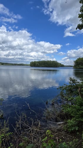 Um den Elbsee
