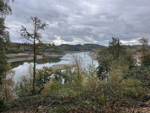 Wuppertalsperre – Honsberg (Hunderunde)