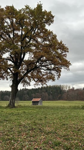 Rund um den Isar-Stausee in Bad Tölz