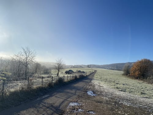 Rheingold (Traumschleife)