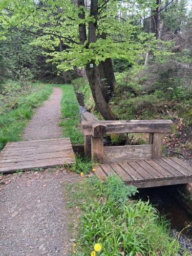 Auf dem Goetheweg zum Brocken