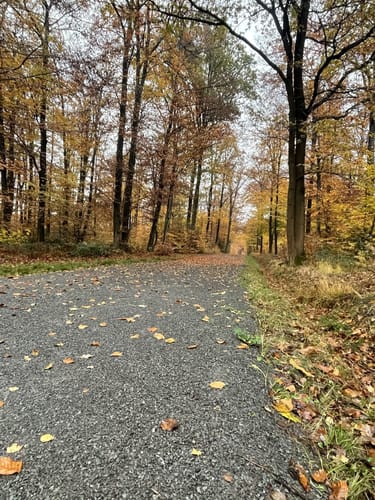 Königsforst Rundweg