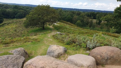 Boxberg-Route