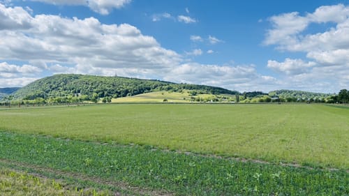 ClassicTour Rotenfels (Premiumwanderweg)
