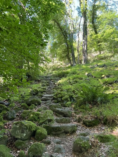 Rundwanderweg B2 (Breitscheid)